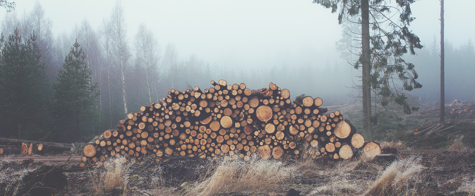 攻击网站在线工具